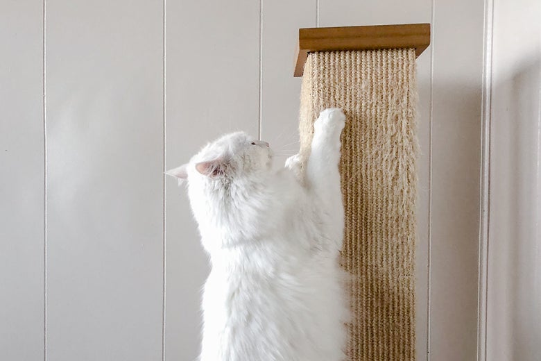 Pioneer Pet SmartCat The Ultimate Scratching Post